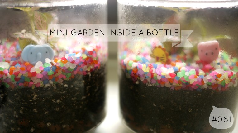 mini garden // mono+co