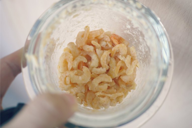 spicydriedshrimp // mono+co