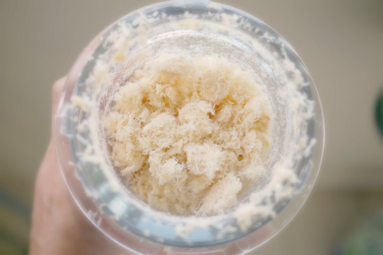 spicydriedshrimp // mono+co