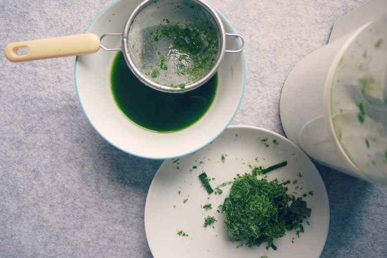 homemadepandanextract003