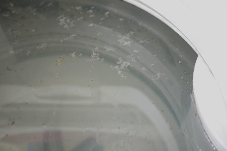 cleaning washingmachine 007