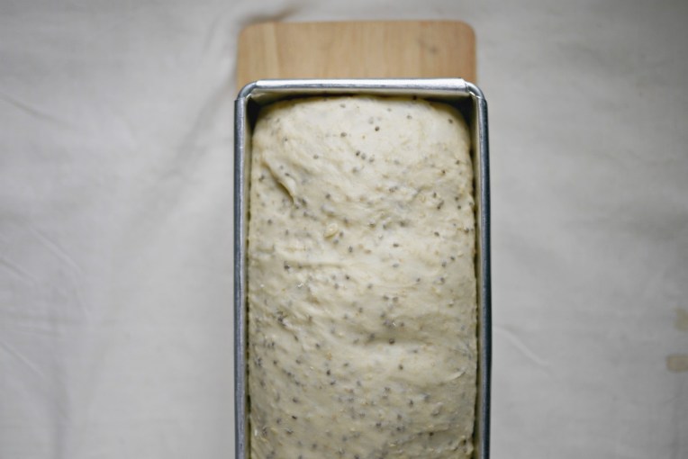 greyure cheese bread 005