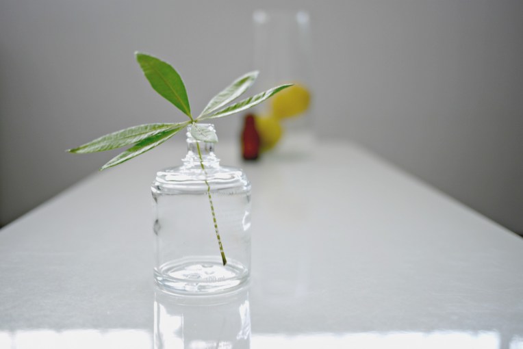 Tidy Tuesdays : Cleaning A Narrow Neck Bottle // Mono+Co