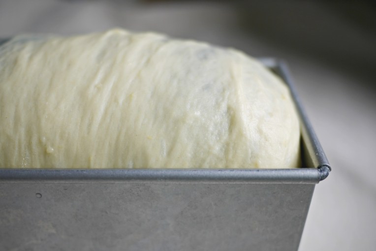 Black N White Potato Bread Loaf // Mono+Co