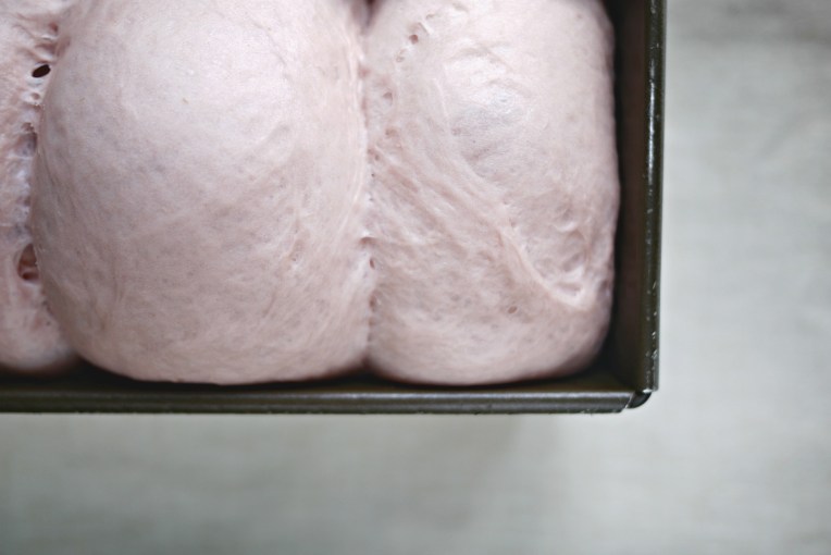 Soft Purple Sweet Potato Bread Loaf // Mono+Co