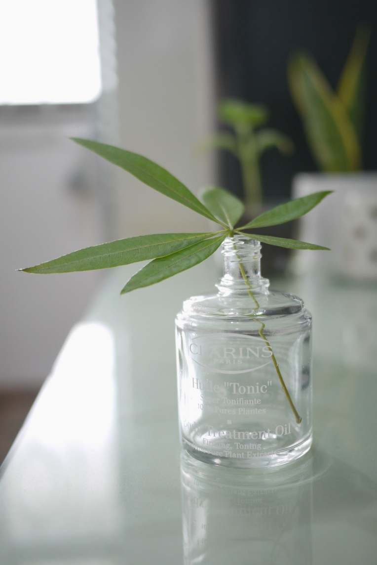 Tidy Tuesdays : Cleaning A Narrow Neck Bottle // Mono+Co