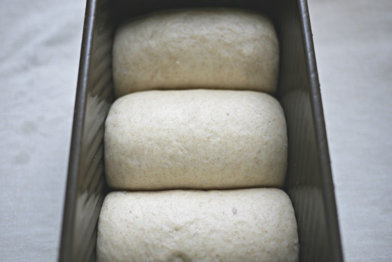 Condensed Milk Wholemeal Taro Sandwich Loaf // Mono + Co