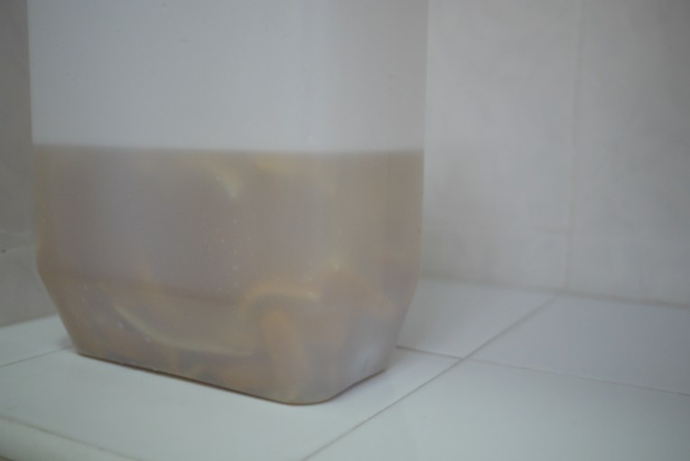 Simple Pleasures // Mono + Co