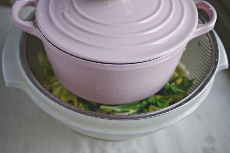 Vegan Cabbage Kimchi : Recap // Mono + Co