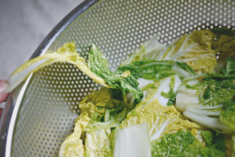 Vegan Cabbage Kimchi : Recap // Mono + Co