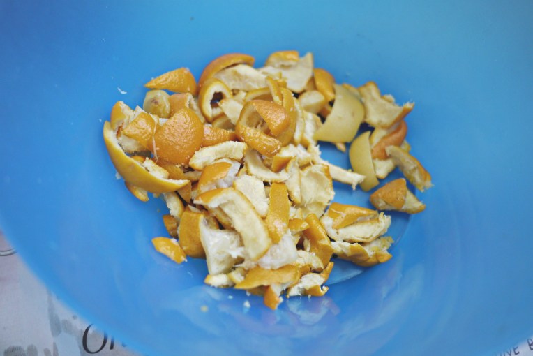 Green Monday : DIY Eco Enzyme For Cleaning // Mono + Co