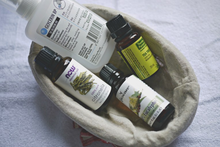 June Holiday Activities + DIY Natural Insect Repellent // Mono + Co