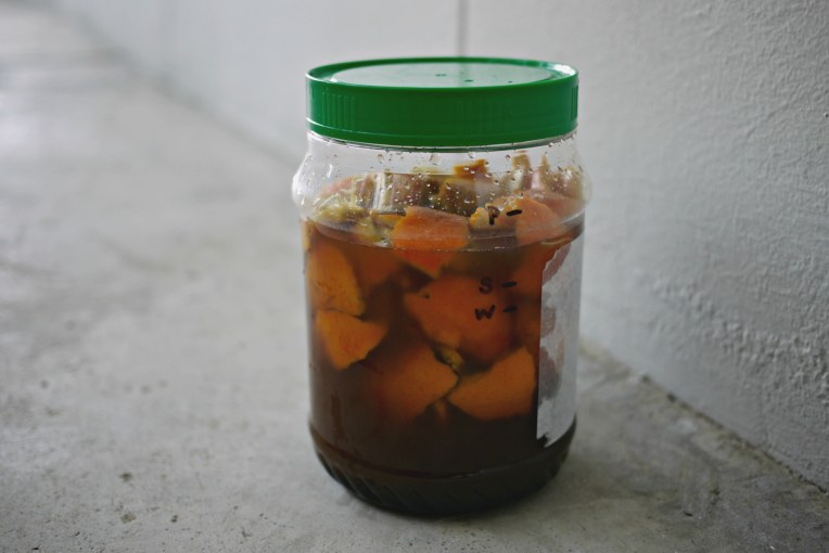 Green Monday : DIY Eco Enzyme For Cleaning // Mono + Co