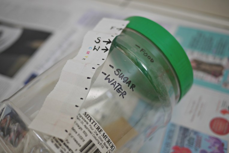 Green Monday : DIY Eco Enzyme For Cleaning // Mono + Co