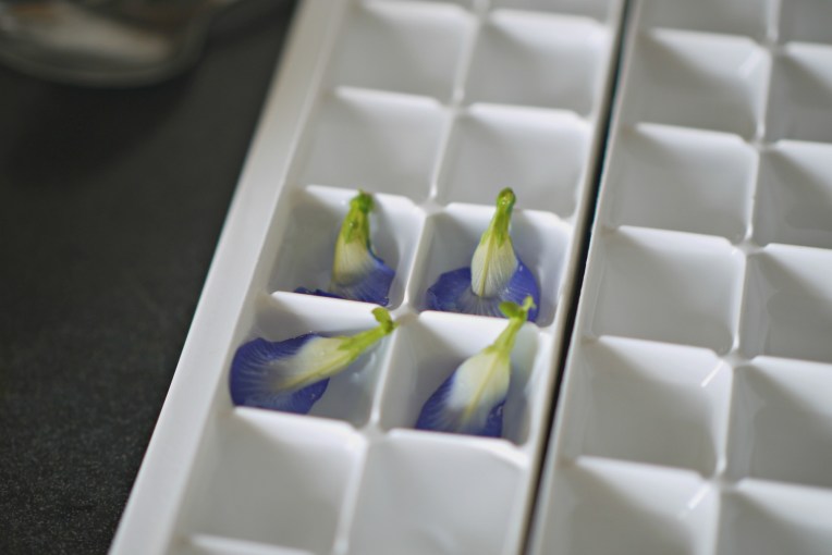 Blue Butterfly Pea Flower Lemonade // Mono + Co