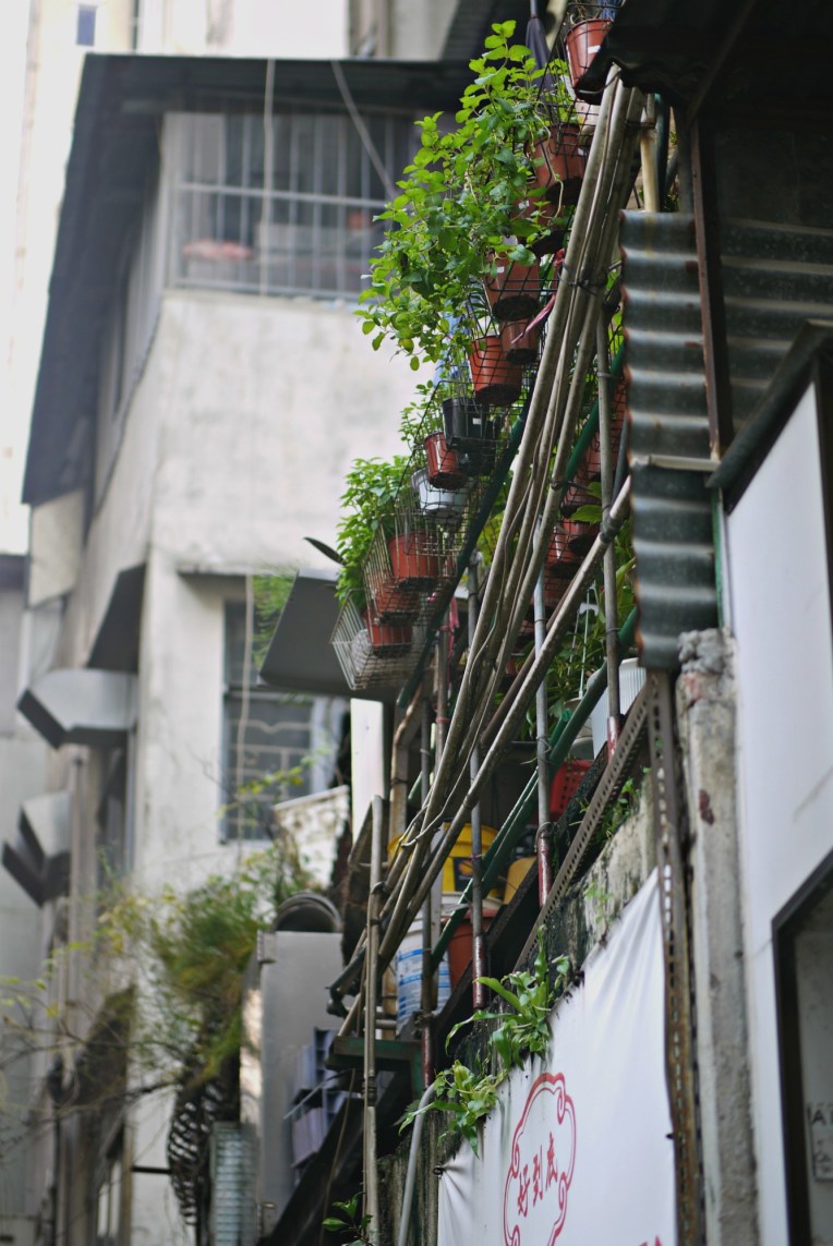 Eco-Friendly Traveller : Hong Kong // Mono + Co