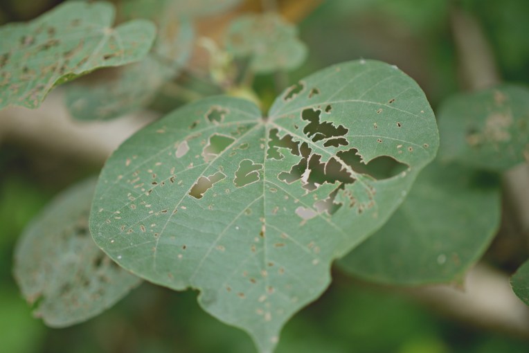 September School Holiday : Eco-Friendly Activities // Mono + Co