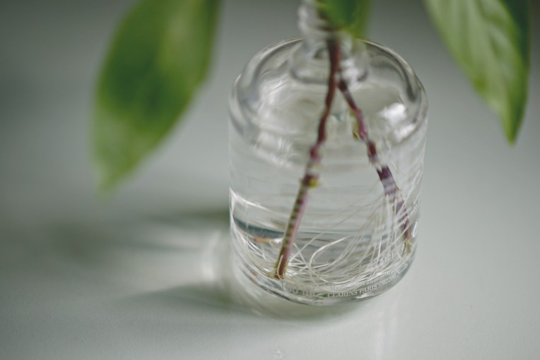 Simple Pleasures // Mono + Co