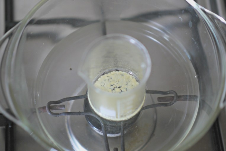 Homemade 2-Ingredient Lip Balm // Mono + Co