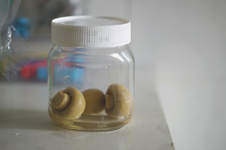 11 (Almost) Free Stuff // Mono + Co