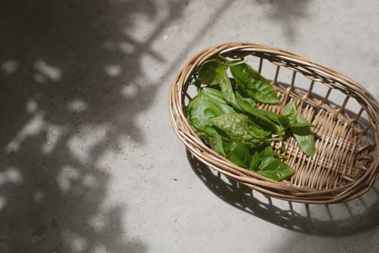 Simple Pleasures // Mono + Co