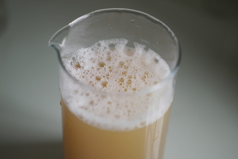 Tea Seed/ Camellia Seed Powder, 5 More Ways // Mono + Co