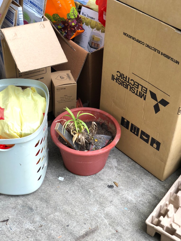 4 Things I Don't Recycle Anymore// Mono + Co